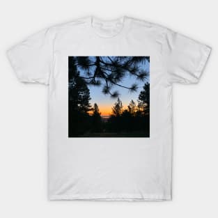 Sunrise through Pines T-Shirt